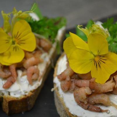 Sandwich mit Crevetten - Kreationen